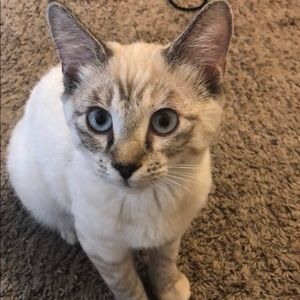 Meet your Posher, Nina